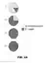 Fig. 06 - METHOD OF ISOLATING AND CHARACTERIZING MICROORGANISMS THAT ARE TARGETS OF HOST IMMUNE RESPONSES