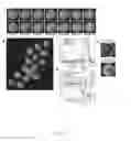 Fig. 22 - IMAGING AND EVALUATING EMBRYOS, OOCYTES, AND STEM CELLS
