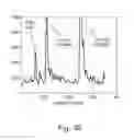 Fig. 32 - IMAGING AND EVALUATING EMBRYOS, OOCYTES, AND STEM CELLS