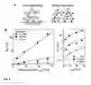 Fig. 09 - Fast thermo-optical particle characterisation
