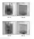 Fig. 05 - Methods for increasing sugar yield with size-adjusted lignocellulosic biomass particles