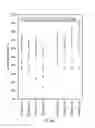 Fig. 06 - Methods for increasing sugar yield with size-adjusted lignocellulosic biomass particles