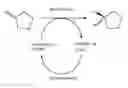 Fig. 01 - Ketoreductase polypeptides for the production of ()-3-hydroxythiolane