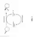 Fig. 02 - Ketoreductase polypeptides for the production of ()-3-hydroxythiolane