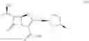 Fig. 04 - Ketoreductase polypeptides for the production of ()-3-hydroxythiolane