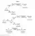 Fig. 02 - Nitrilases, nucleic acids encoding them and methods for making and using them