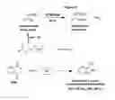 Fig. 03 - Nitrilases, nucleic acids encoding them and methods for making and using them