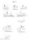 Fig. 20 - Nitrilases, nucleic acids encoding them and methods for making and using them