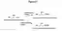 Fig. 43 - Nitrilases, nucleic acids encoding them and methods for making and using them