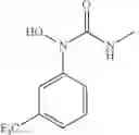 Fig. 09 - Laccases for bio-bleaching