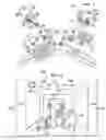 Fig. 05 - Infectious disease detection system