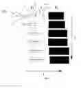 Fig. 04 - MICROFLUIDIC DEVICE