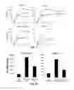 Fig. 06 - PD-1 MODULATION AND USES THEREOF FOR MODULATING HIV REPLICATION