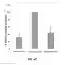 Fig. 08 - PD-1 MODULATION AND USES THEREOF FOR MODULATING HIV REPLICATION