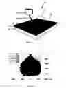 Fig. 02 - CELLULAR RESPONSE TO SURFACE WITH NANOSCALE HETEROGENEOUS RIGIDITY