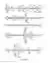 Fig. 40 - METHODS FOR CONTROLLING STEM CELL DIFFERENTIATION