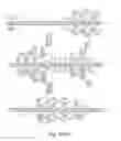 Fig. 45 - METHODS FOR CONTROLLING STEM CELL DIFFERENTIATION