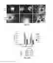 Fig. 95 - METHODS FOR CONTROLLING STEM CELL DIFFERENTIATION