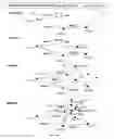 Fig. 04 - Application of the invoke facility service to restrict invocation of compound wireless mobile communication services: division 1—formation of restricted spatial boundaries