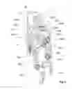 Fig. 06 - Motor driven derailleur for a bicycle gearshift