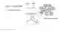 Fig. 01 - Process for producing nanoparticles