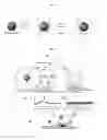 Fig. 02 - SURFACE ENHANCED RAMAN SPECTROSCOPY (SERS) MARKER CONJUGATES AND METHODS OF THEIR PREPARATION