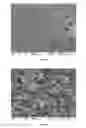 Fig. 02 - Nanostructured microbial sensors