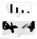 Fig. 04 - Nanostructured microbial sensors