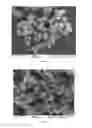 Fig. 05 - Nanostructured microbial sensors