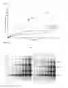 Fig. 06 - PLANT PROFILIN POLYPEPTIDES FOR USE IN NON-SPECIFIC ALLERGY IMMUNOTHERAPY