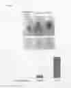 Fig. 02 - Skin-permeating peptide
