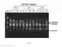 Fig. 09 - USE OF HERBAL SAPONINS TO REGULATE GUT MICROFLORA