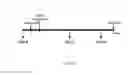 Fig. 44 - USE OF HERBAL SAPONINS TO REGULATE GUT MICROFLORA