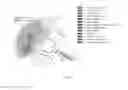 Fig. 58 - USE OF HERBAL SAPONINS TO REGULATE GUT MICROFLORA