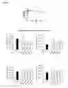 Fig. 16 - Glycodendrimers of polypropyletherimine
