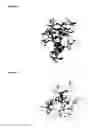 Fig. 23 - Glycodendrimers of polypropyletherimine