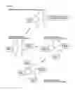 Fig. 40 - Glycodendrimers of polypropyletherimine