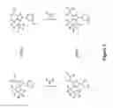 Fig. 04 - Cannabinoid receptor modulators