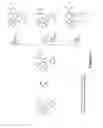 Fig. 07 - Cannabinoid receptor modulators