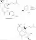Fig. 28 - Fumigillol compounds and methods of making and using same