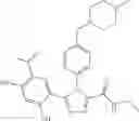 Fig. 17 - Triazole compounds that modulate HSP90 activity