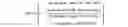 Fig. 02 - Piperazinyl pyrimidine derivatives, preparation method and use thereof