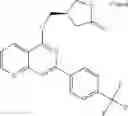 Fig. 293 - Substituted naphthyridines and their use as medicaments