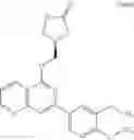 Fig. 482 - Substituted naphthyridines and their use as medicaments
