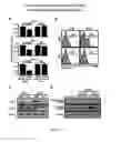 Fig. 03 - Modulation of sphingosine 1-phosphate metabolizing enzymes for the treatment of negative-strand RNA virus infections