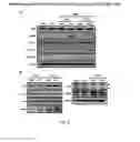 Fig. 06 - Modulation of sphingosine 1-phosphate metabolizing enzymes for the treatment of negative-strand RNA virus infections