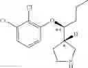 Fig. 33 - 3-phenoxymethylpyrrolidine compounds