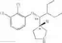 Fig. 46 - 3-phenoxymethylpyrrolidine compounds