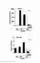Fig. 03 - Methods for diagnosing and treating oncogenic kras-associated cancer