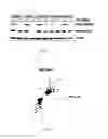 Fig. 06 - Methods for diagnosing and treating oncogenic kras-associated cancer